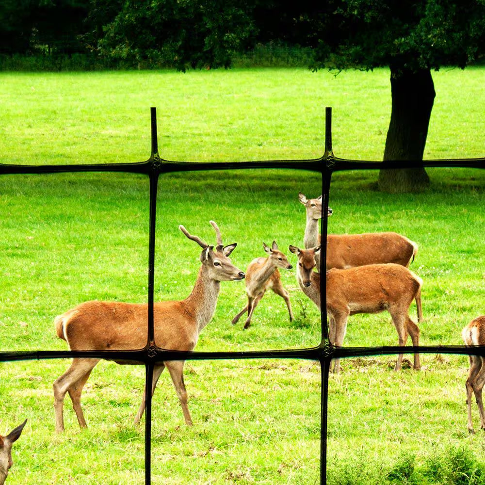 6 Ft. X 330 Ft. C Flex Plastic Deer Fence