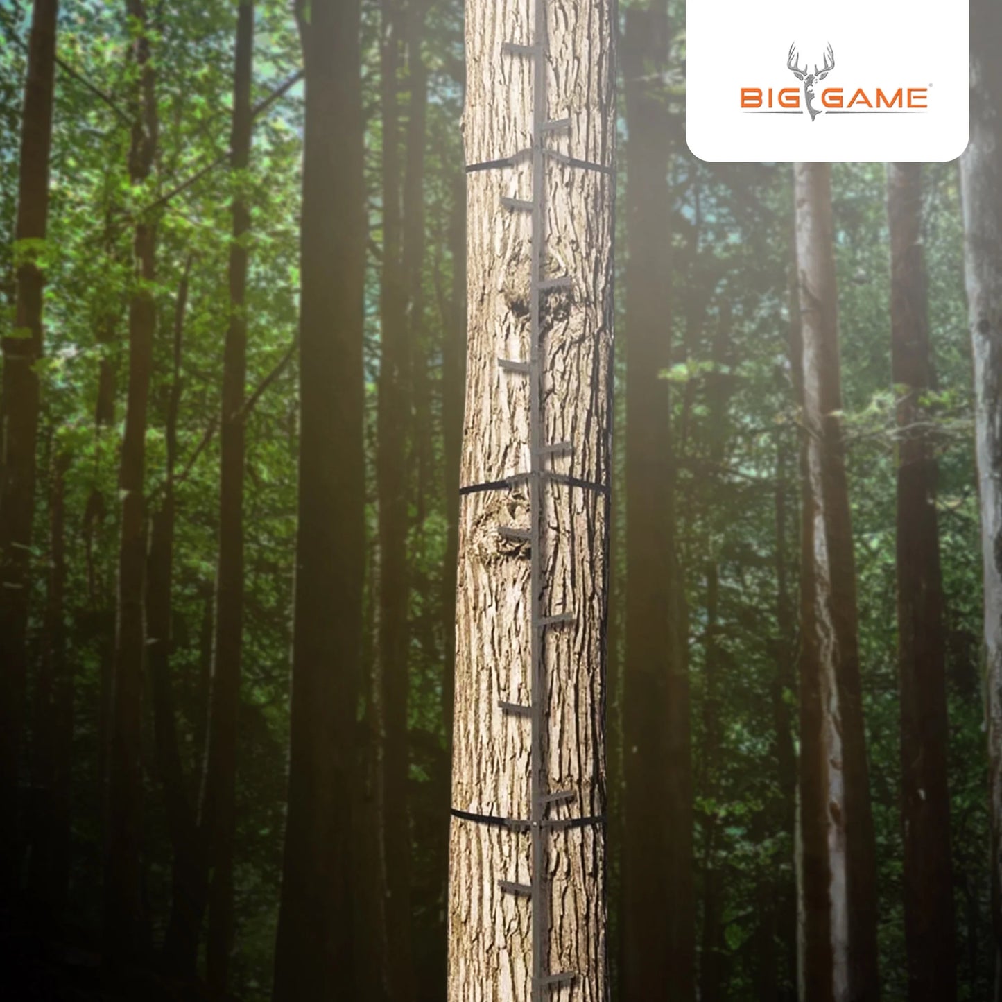 Quick Stick, Climbing Sticks Hunting Gear for Deer Stands