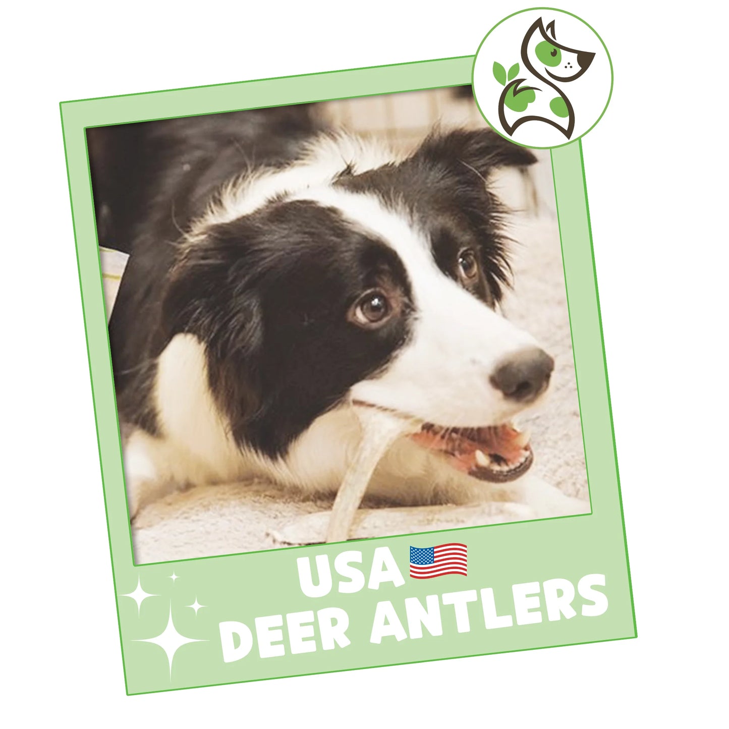 USA Deer Antlers for Dogs 4-7" (3 Count) Rawhide-Free Chew Bones