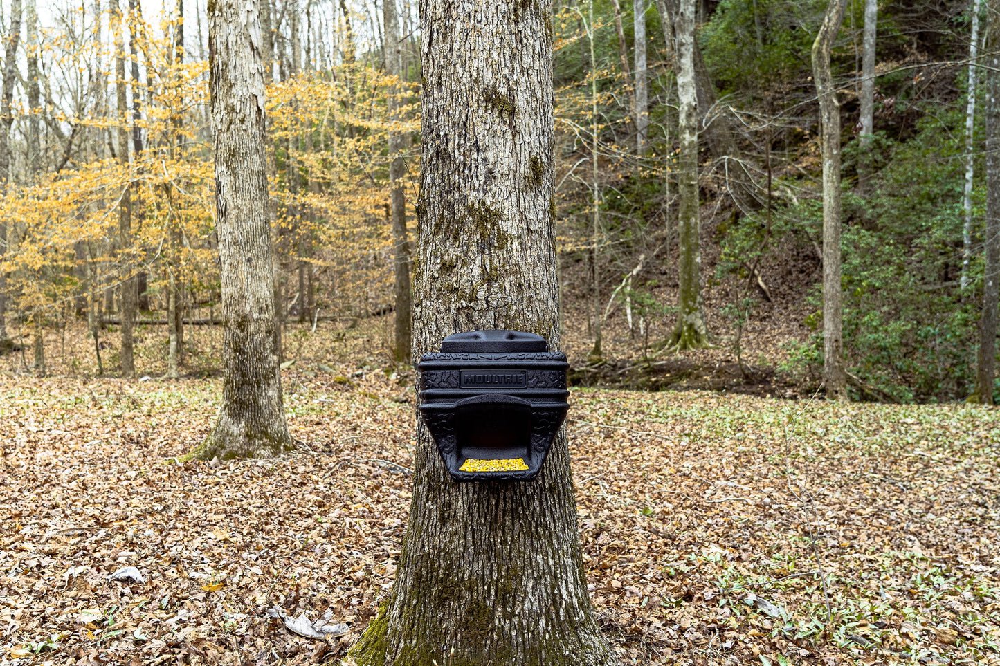 (3 Pack) 40Lb. Feed Bin. - Easy Fill Gravity Feeder - 6 Gallon Capacity