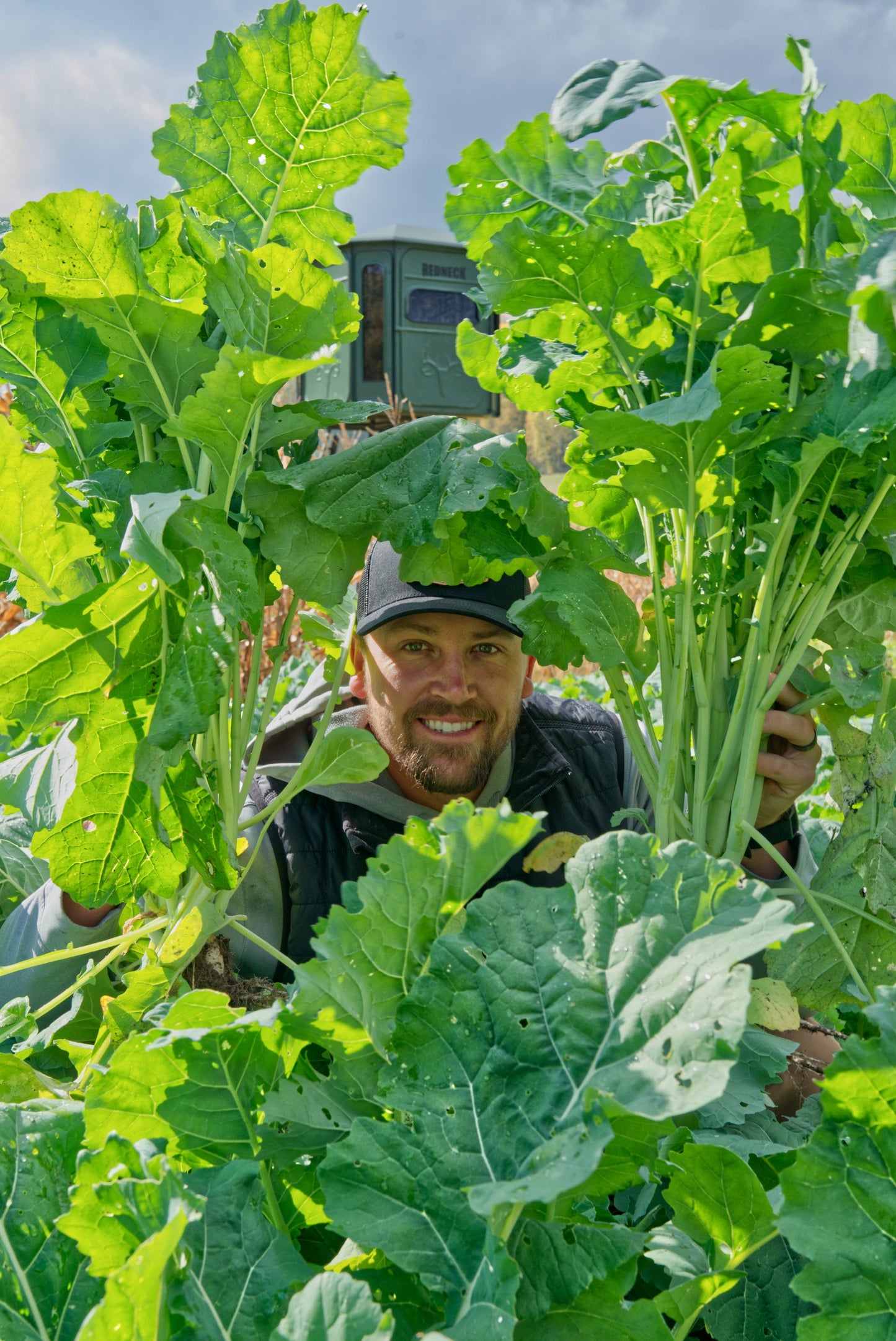 Bombshell™ Brassica Food Plot Seed