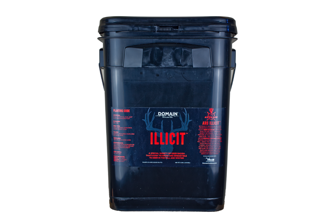 Illicit Deer Radish – Fall Food Plot Seed for Sandy or Tough Soils (Advanced Habitat Solutions)