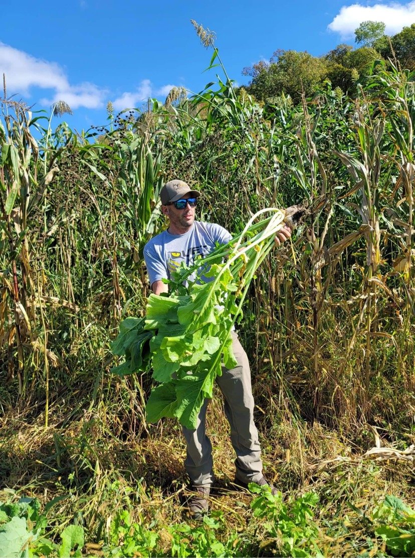 Bombshell™ Brassica Food Plot Seed