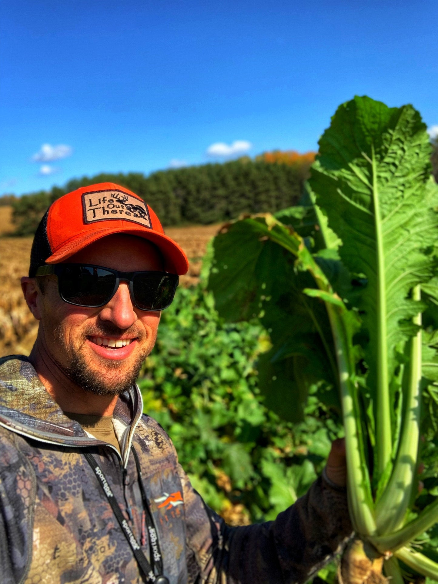 Bombshell™ Brassica Food Plot Seed