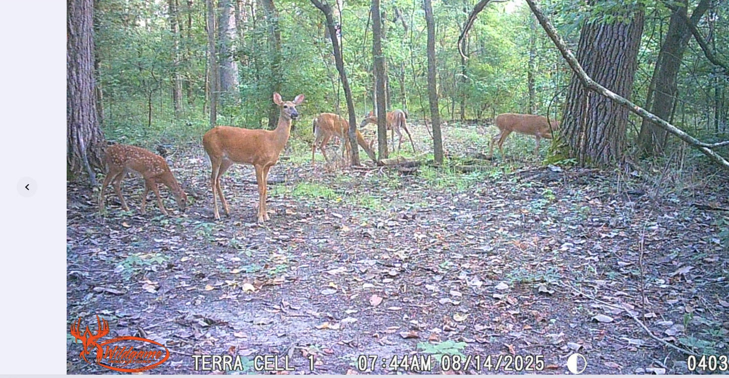 Indiana Full-Service Food Plot Services | From Clearing to Planting