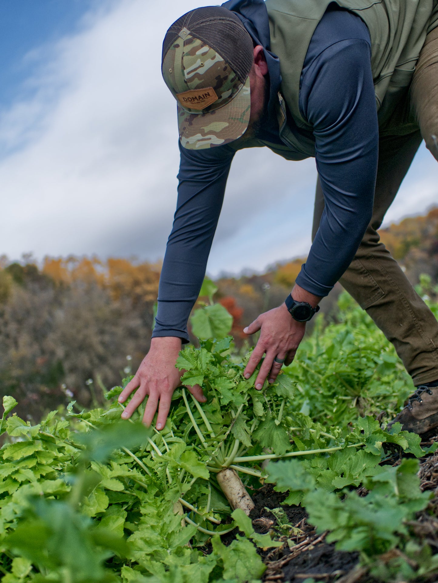 Illicit Deer Radish – Fall Food Plot Seed for Sandy or Tough Soils (Advanced Habitat Solutions)