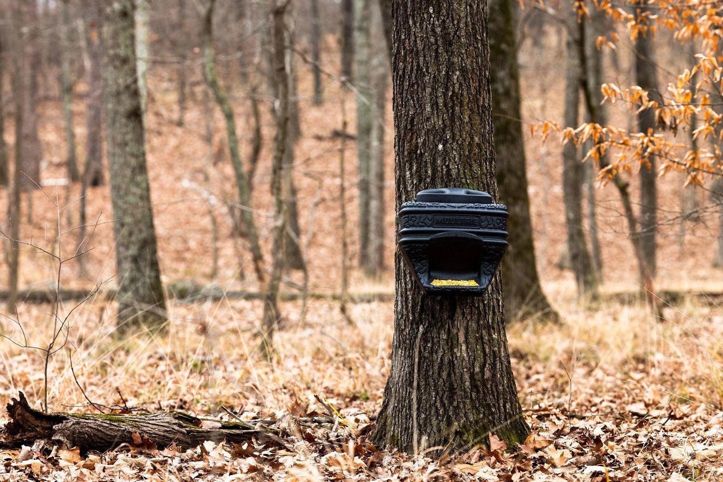 (3 Pack) 40Lb. Feed Bin. - Easy Fill Gravity Feeder - 6 Gallon Capacity