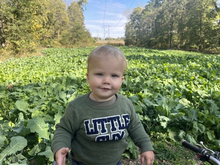 Indiana Full-Service Food Plot Services | From Clearing to Planting