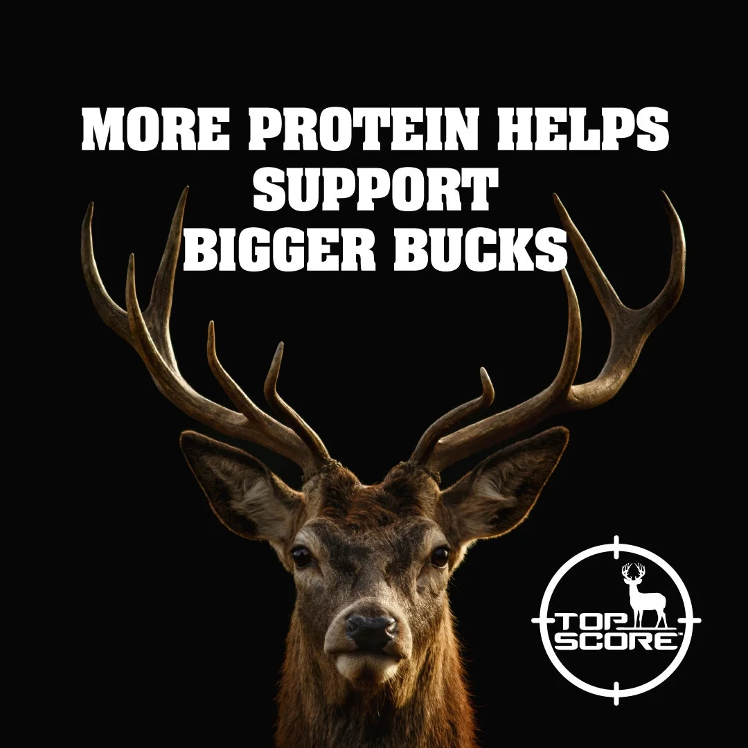 Extreme Protein Pellets 40Lb.
