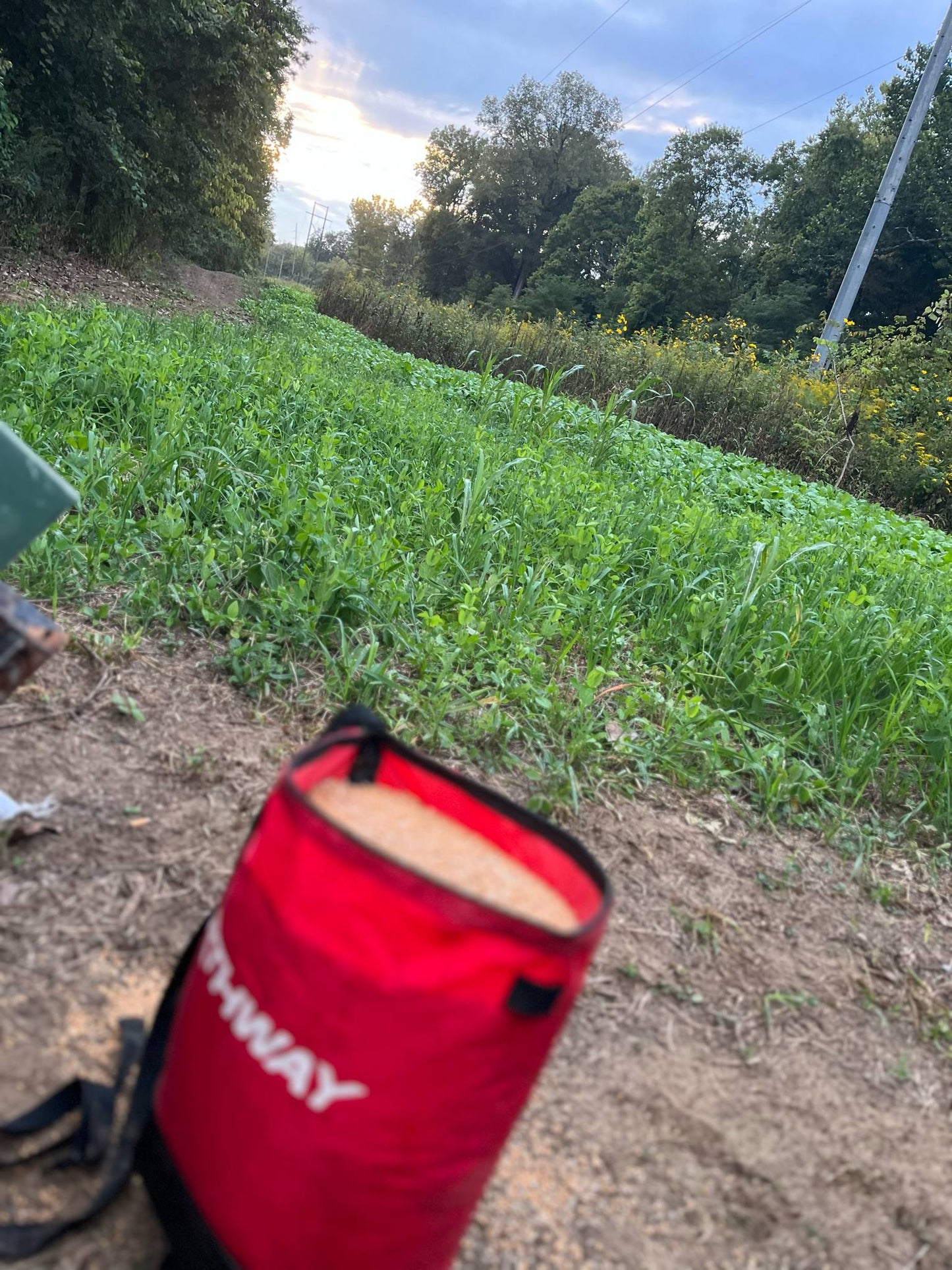 Indiana Full-Service Food Plot Services | From Clearing to Planting
