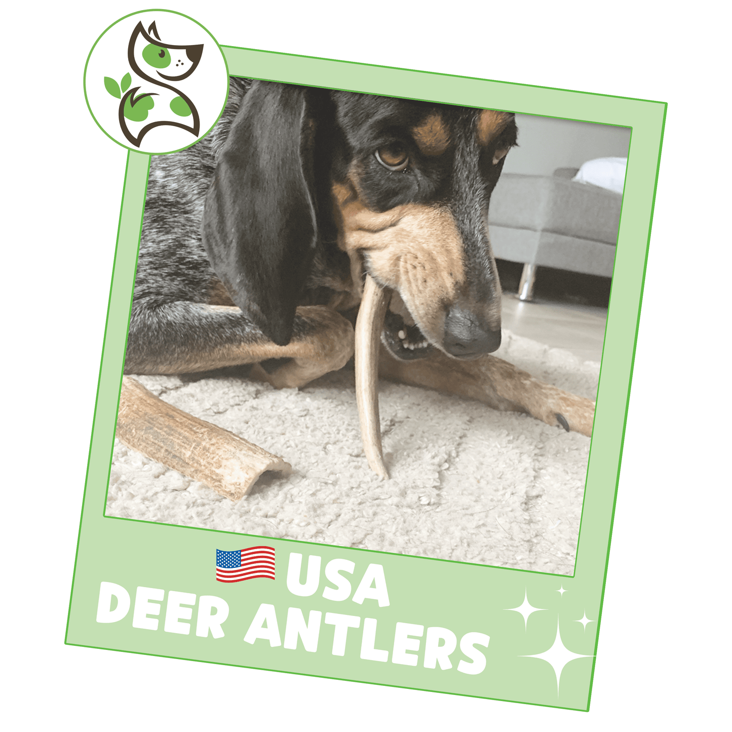 USA Deer Antlers for Dogs 4-7" (3 Count) Rawhide-Free Chew Bones