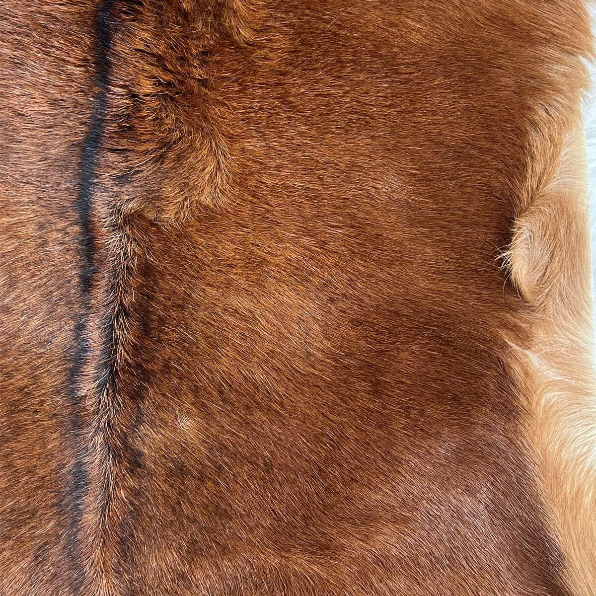 Red Deer Hide Rug Deer Skin Rug Deer Taxidermy Fireplace Deerskin Decor Reindeer