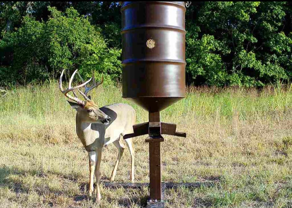 forage feeders single barrel 400 # feeder