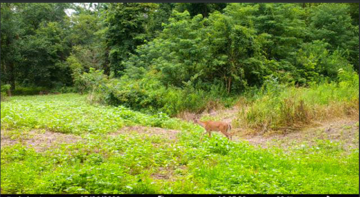 Indiana Whitetail Deer Habitat Consultation Visits