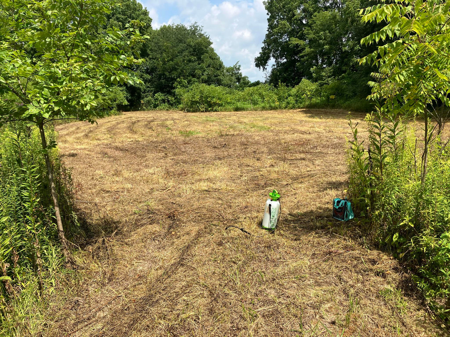 Indiana Full-Service Food Plot Services | From Clearing to Planting