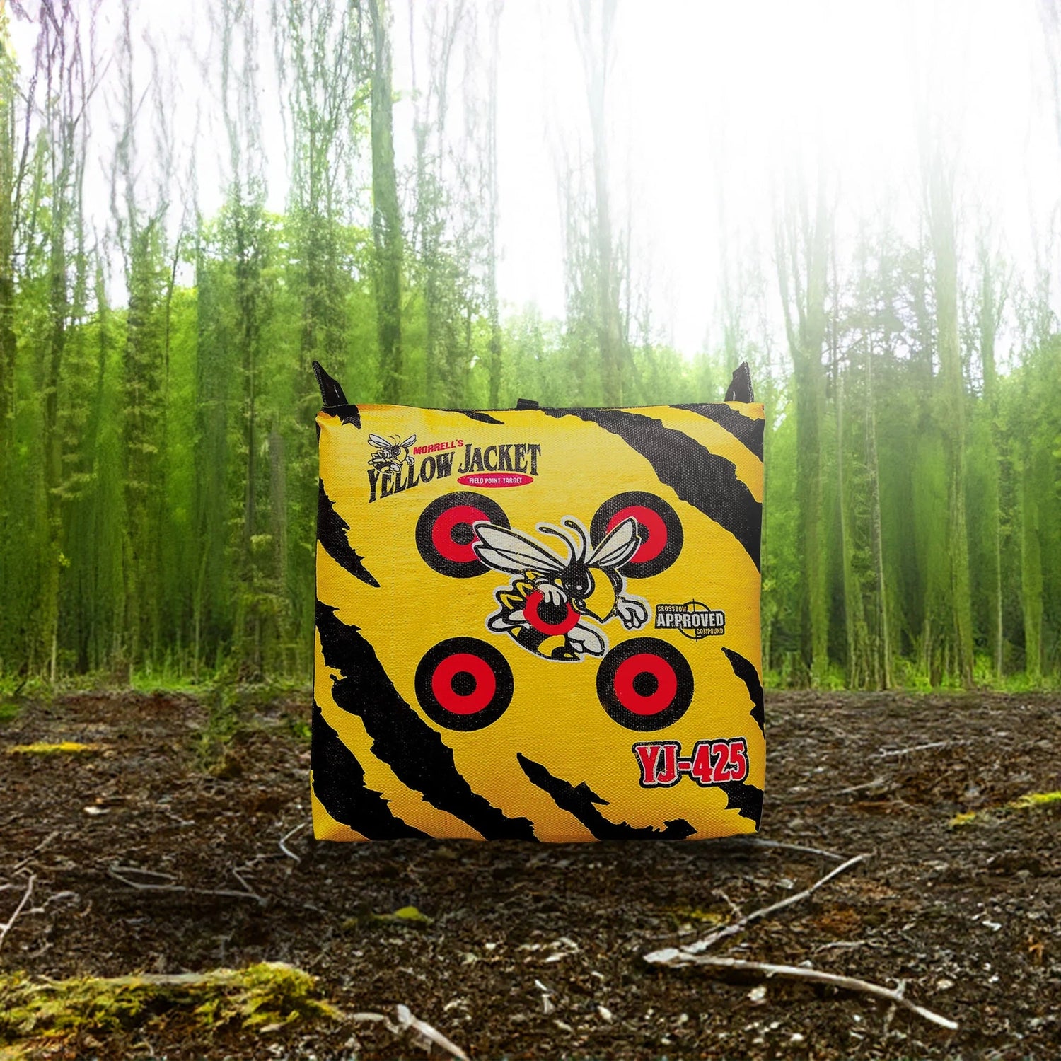 Archery Target Practice before a hunt