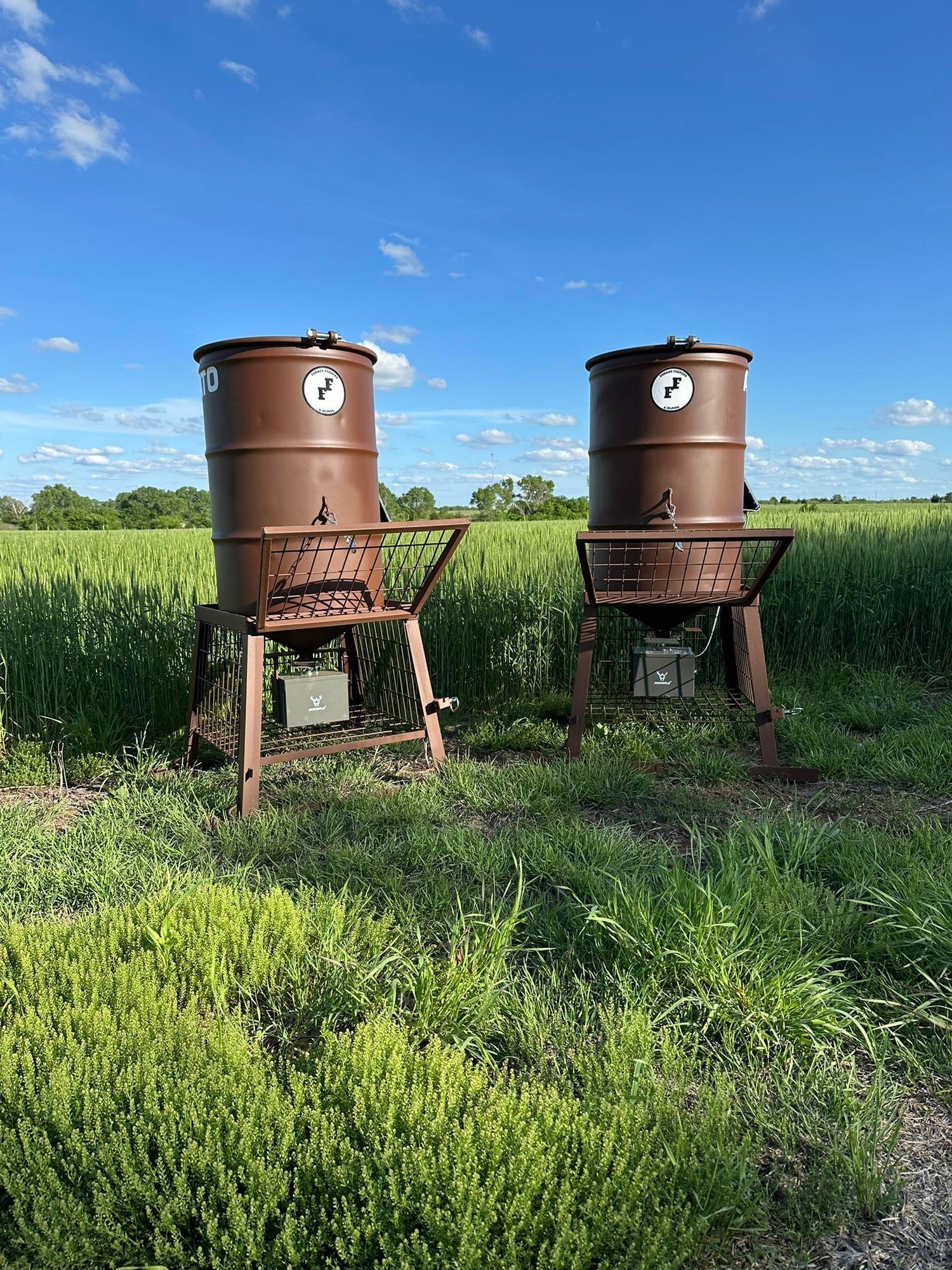 Forage  Feeders