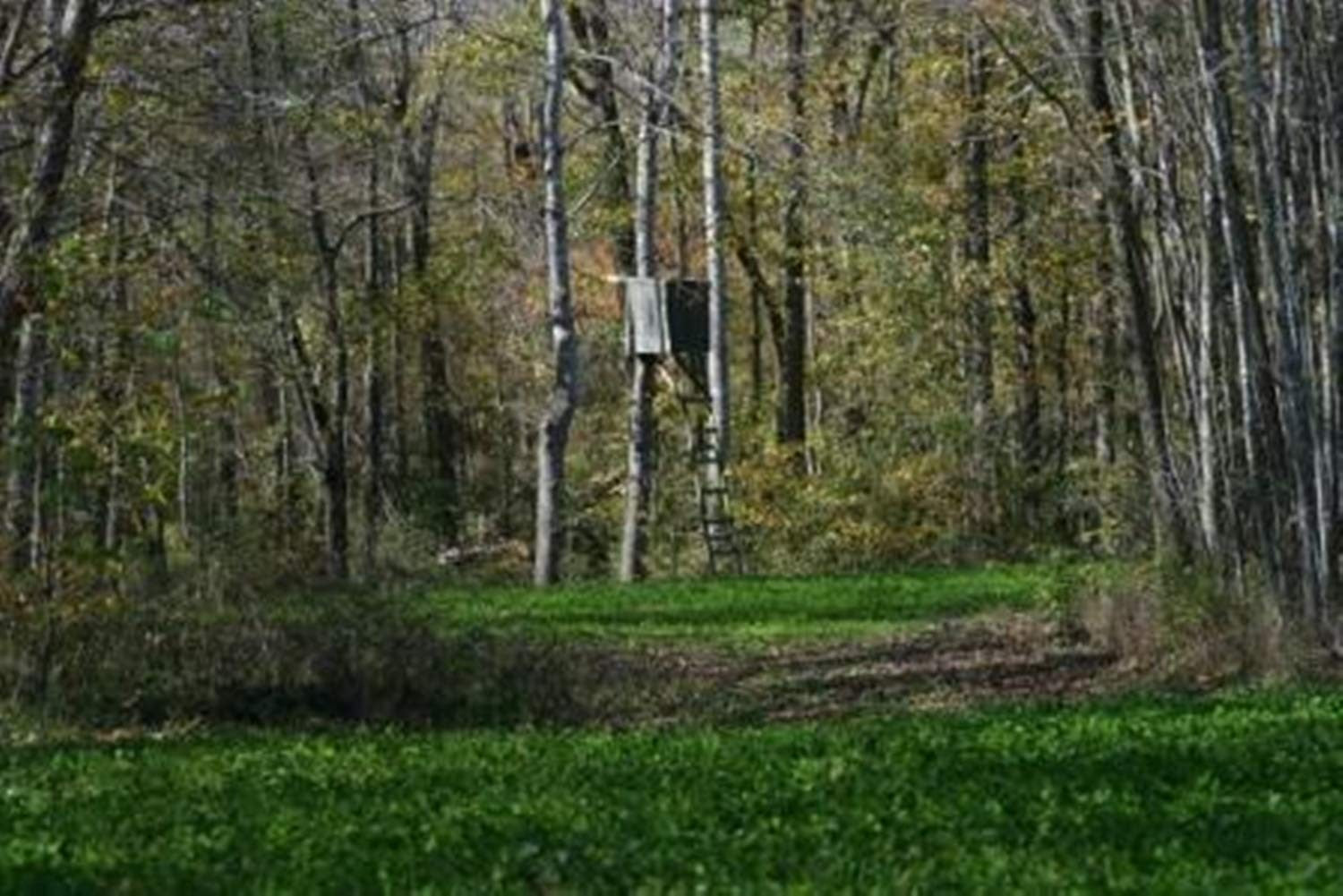 Whitetail Institute Imperial Whitetail Secret SPOT Private Food Plot Seed,