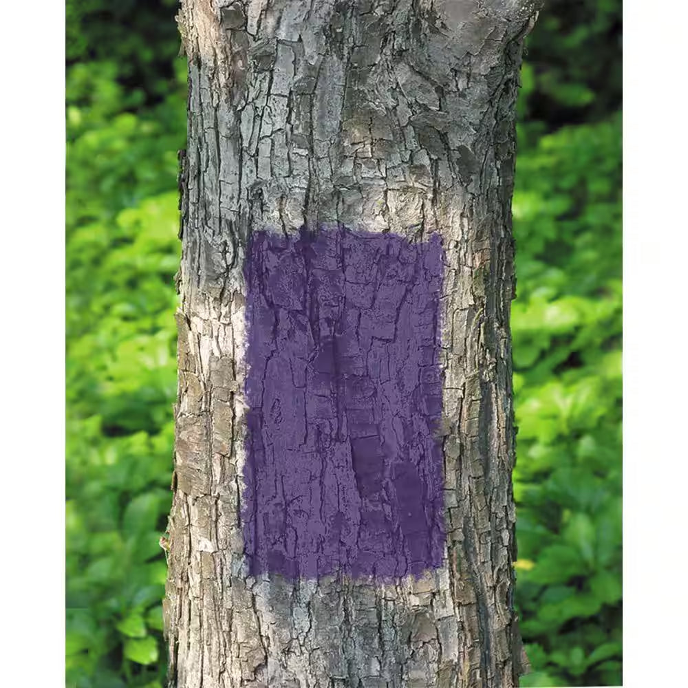 12 Oz. No Hunting Purple Spray Paint (6-Pack)