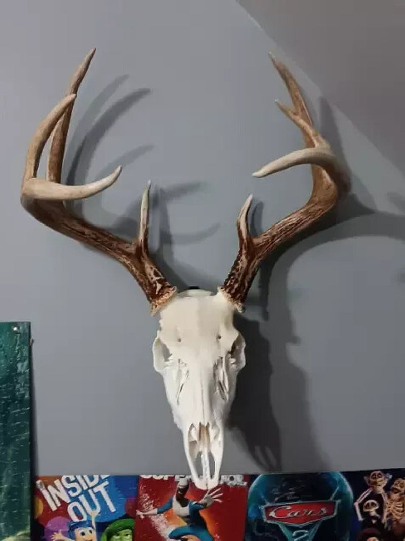 European Mount Skull Hanger, Deer Skull Wall Mount Hanger for Hanging Deer Head