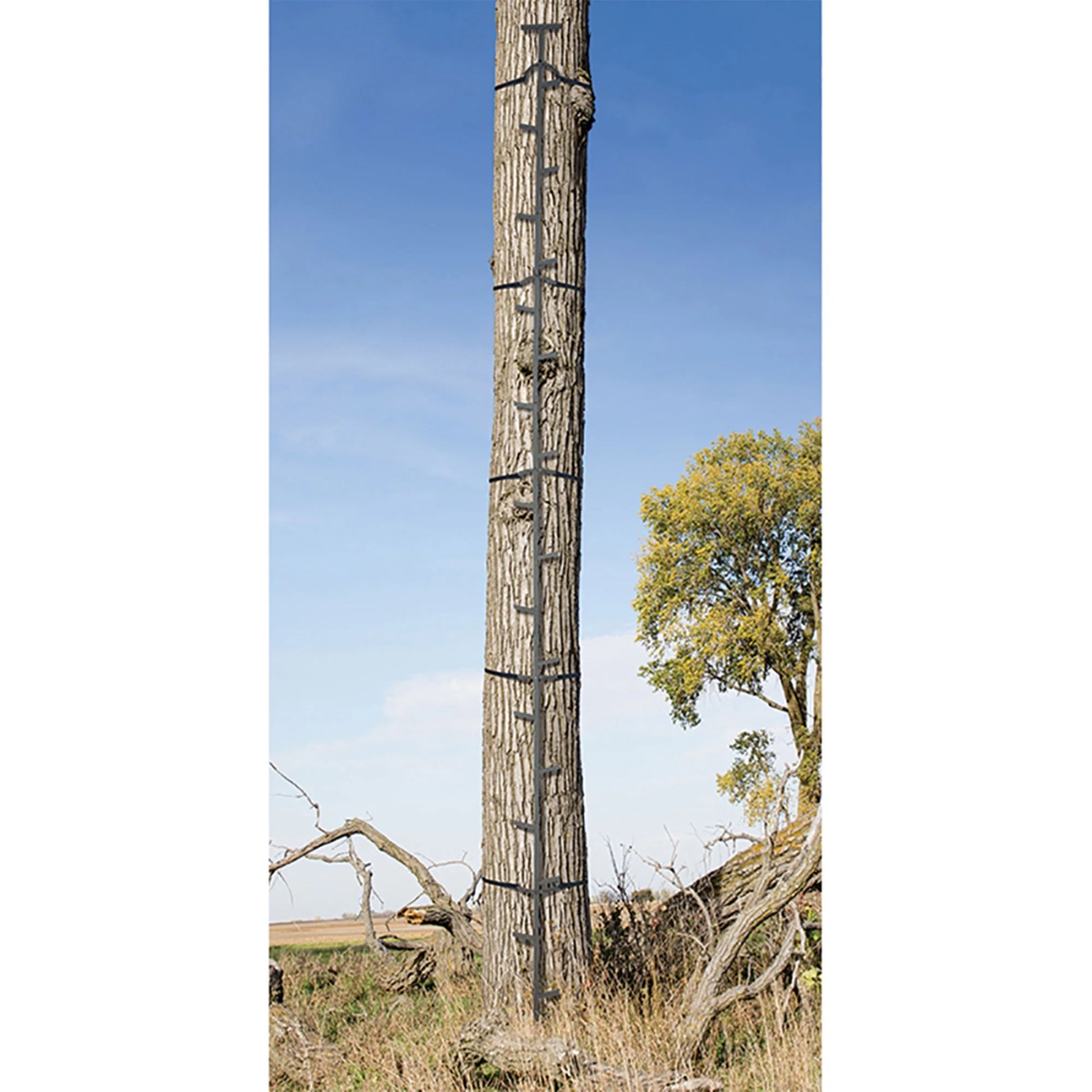 Quick Stick, Climbing Sticks Hunting Gear for Deer Stands