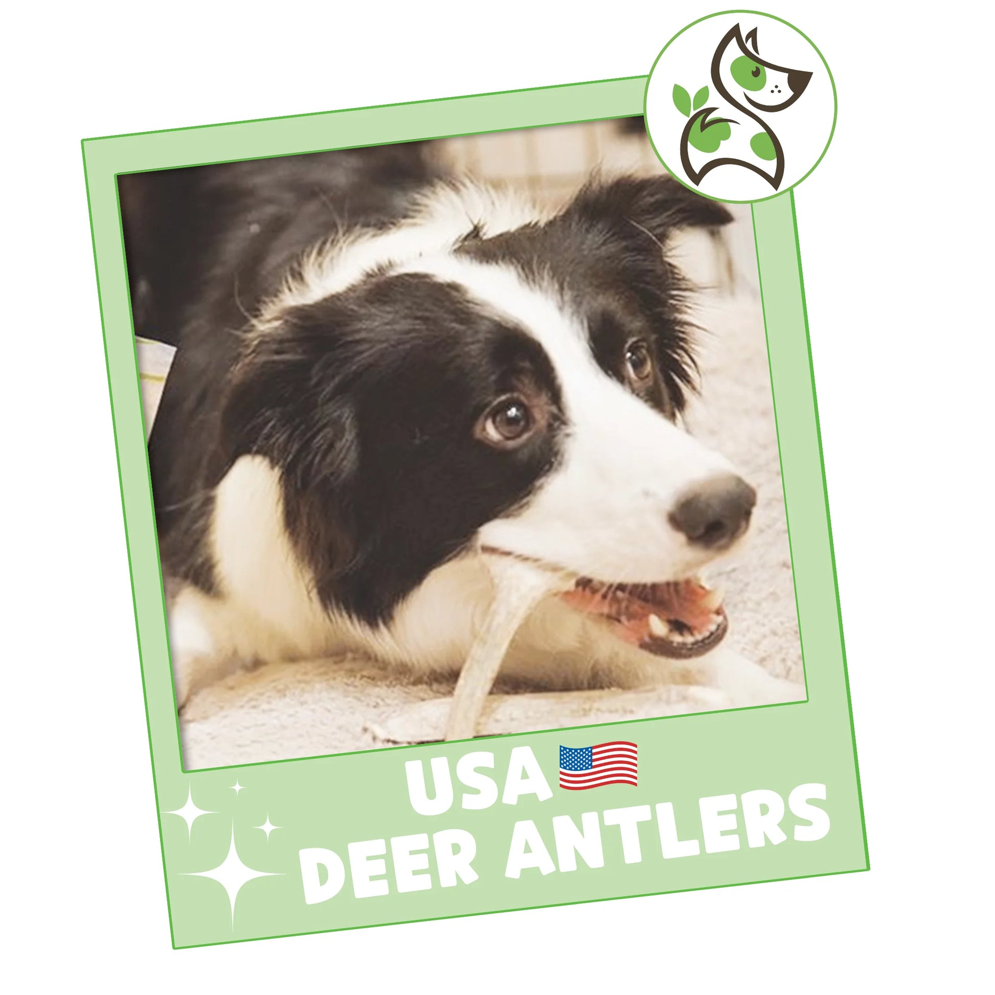 USA Deer Antlers for Dogs 4-7" (3 Count) Rawhide-Free Chew Bones