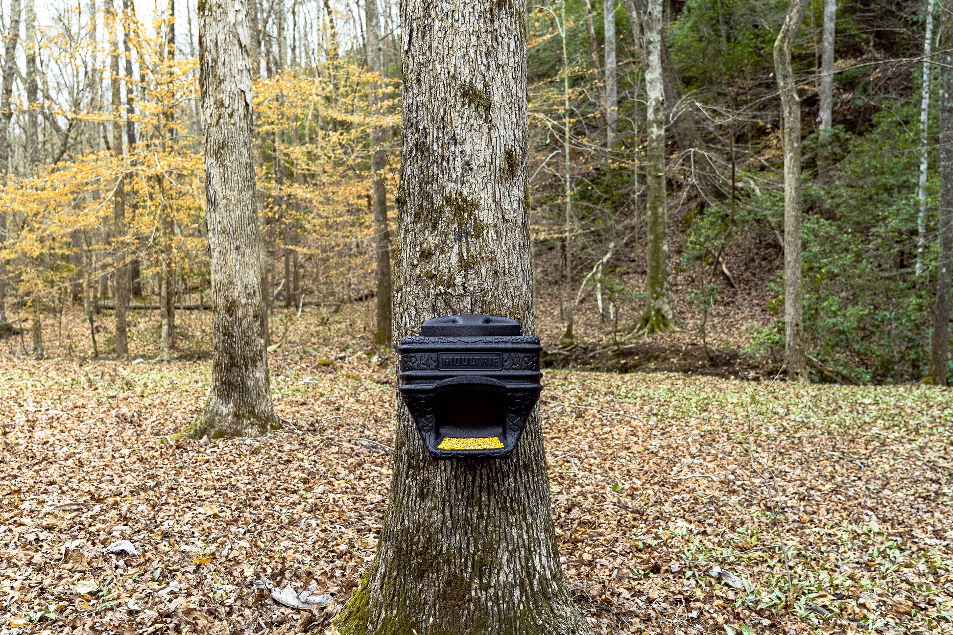 (3 Pack)  40Lb. Feed Bin. - Easy Fill Gravity Feeder - 6 Gallon Capacity