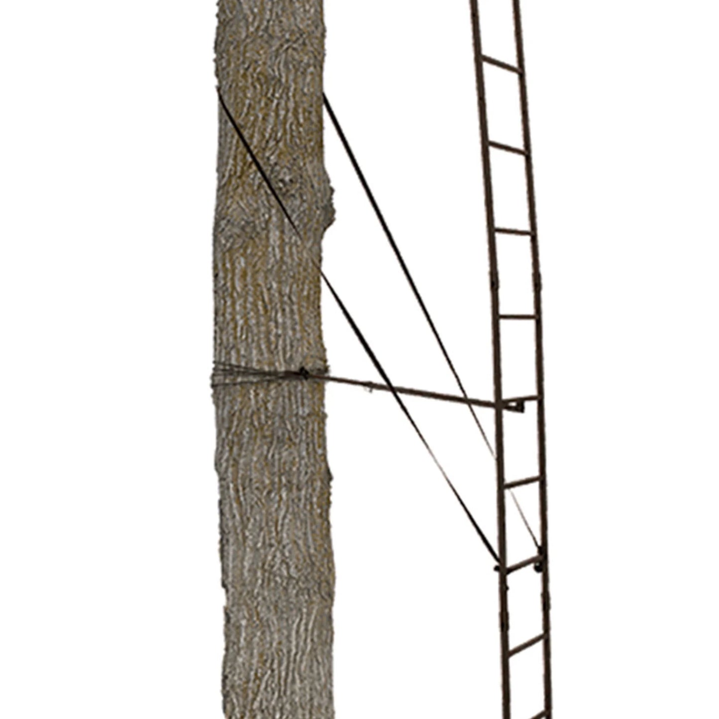 Big Game Warrior DXT 17' Deer Hunting Ladders, Tree Stand and Flex-Tek Seat