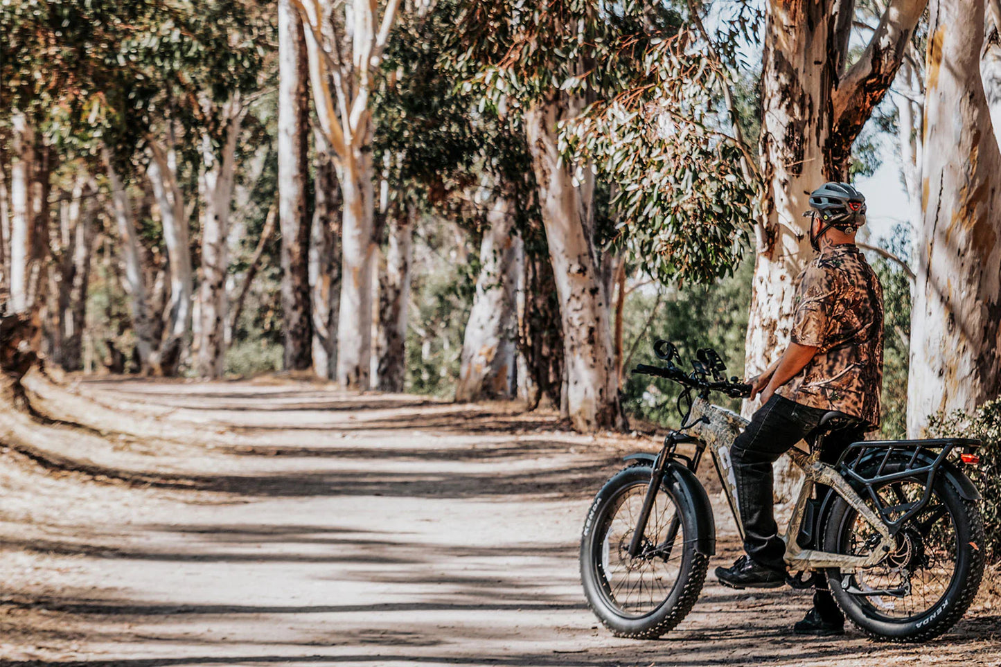 Cheetah Hunting Ebike