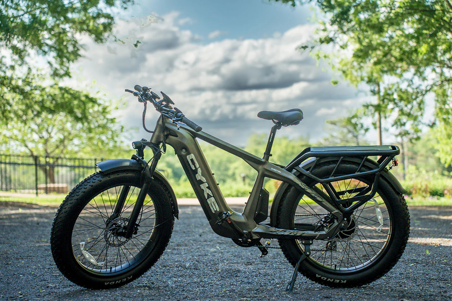 Cheetah Hunting Ebike