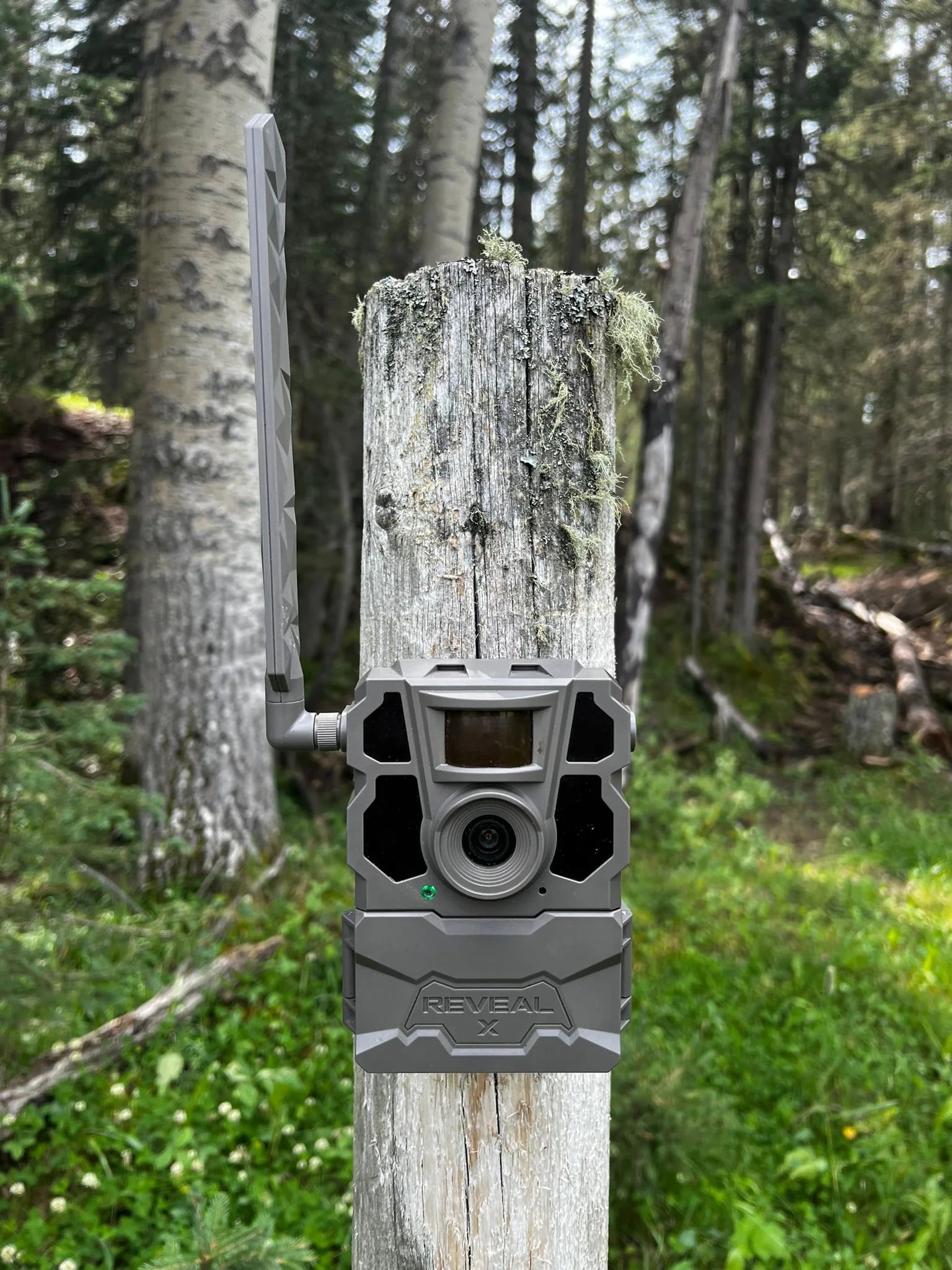 Reveal by  X 2.0 Cellular Trail Camera