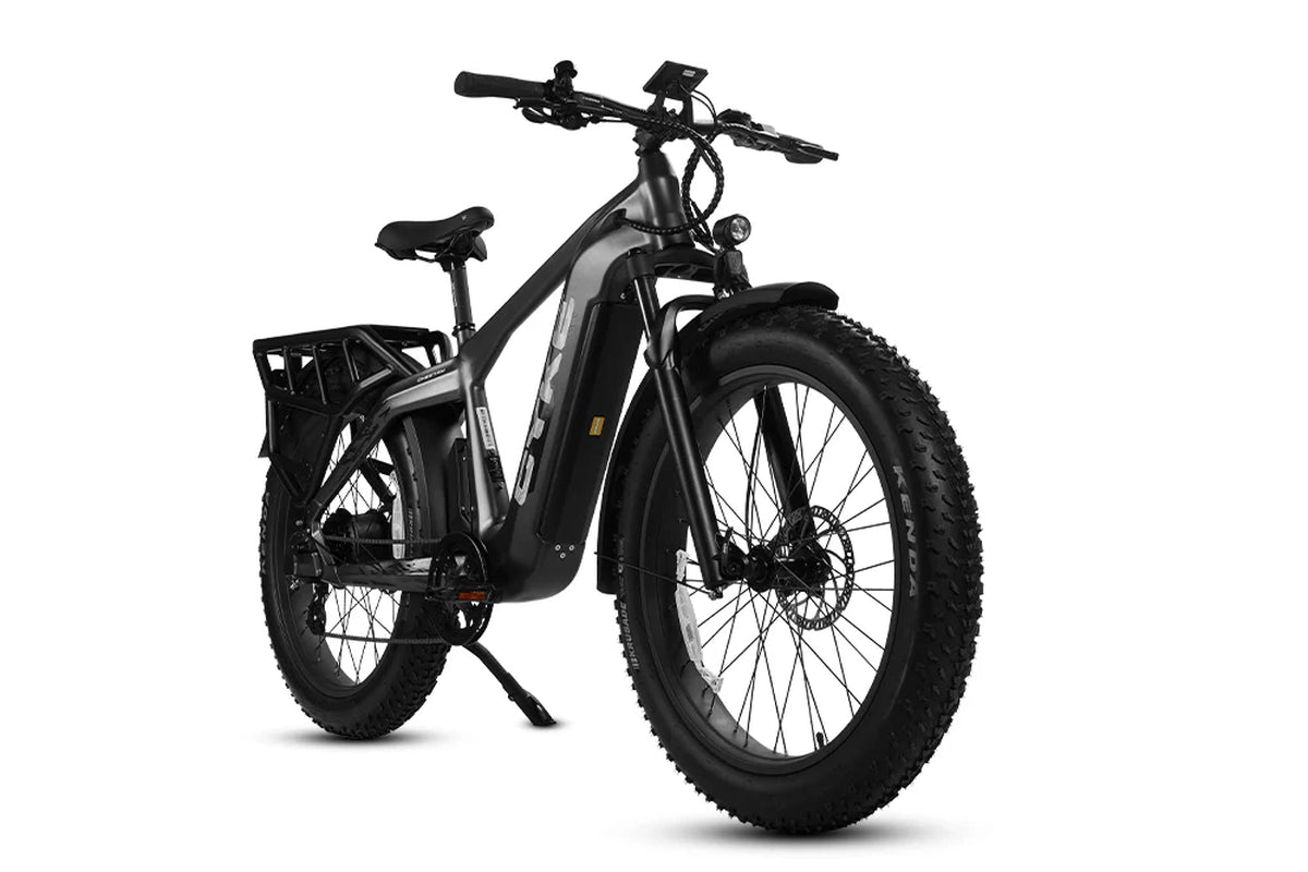 Cheetah Hunting Ebike
