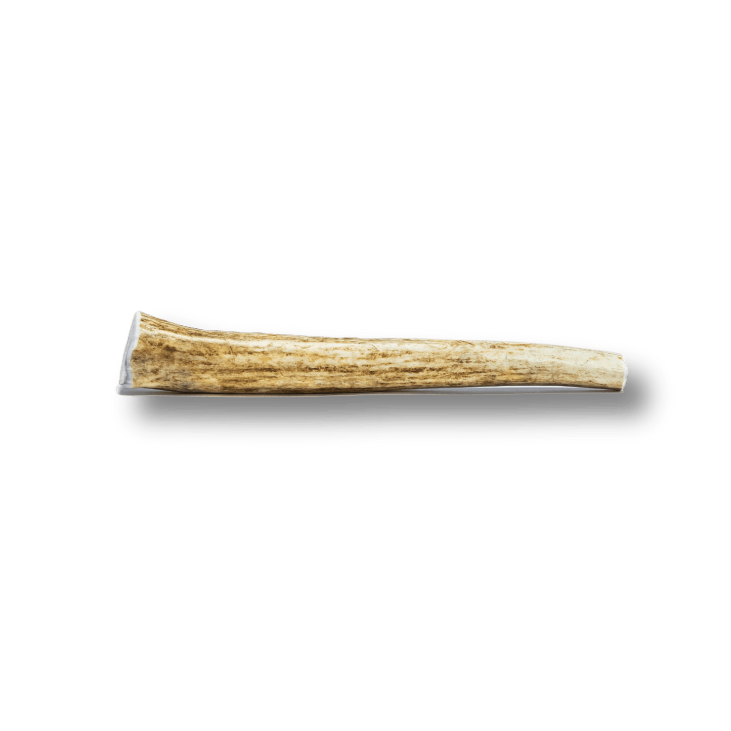 Whole Elk Antlers for Dogs