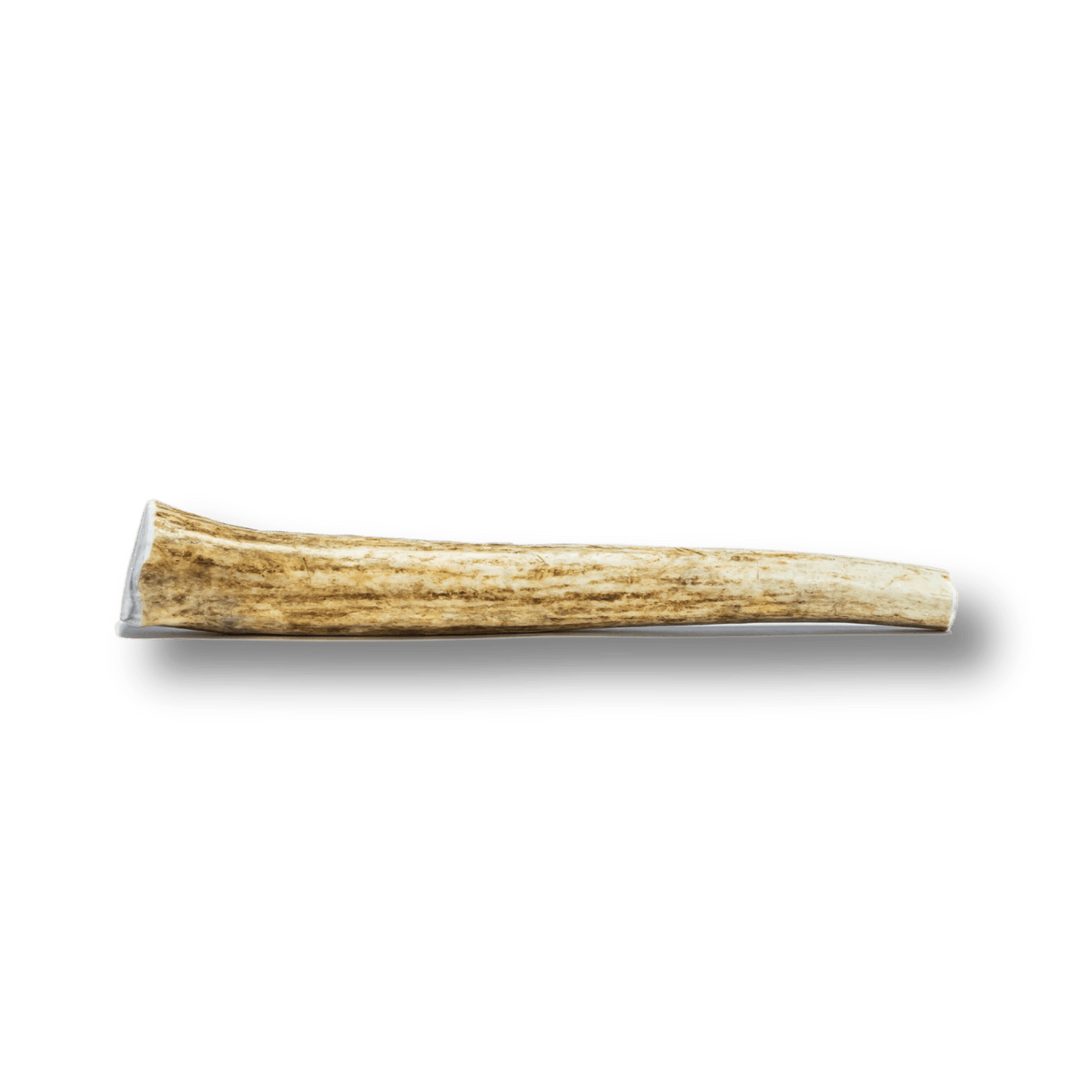 Whole Elk Antlers for Dogs