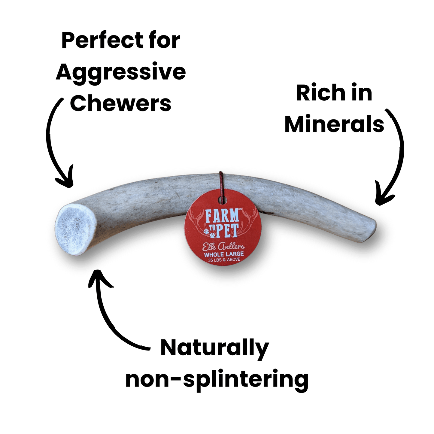 Whole Elk Antlers for Dogs