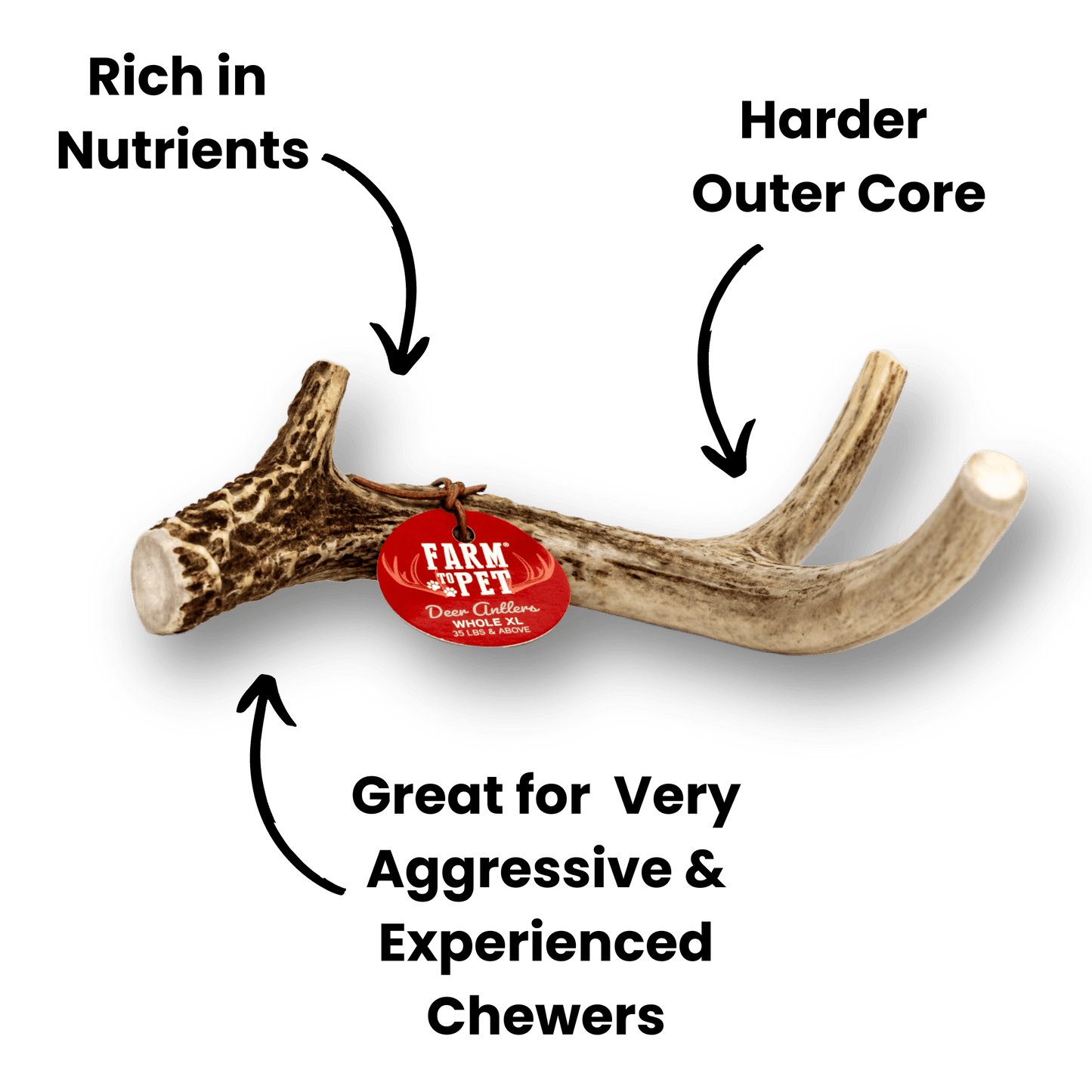 Deer Antlers for Dogs