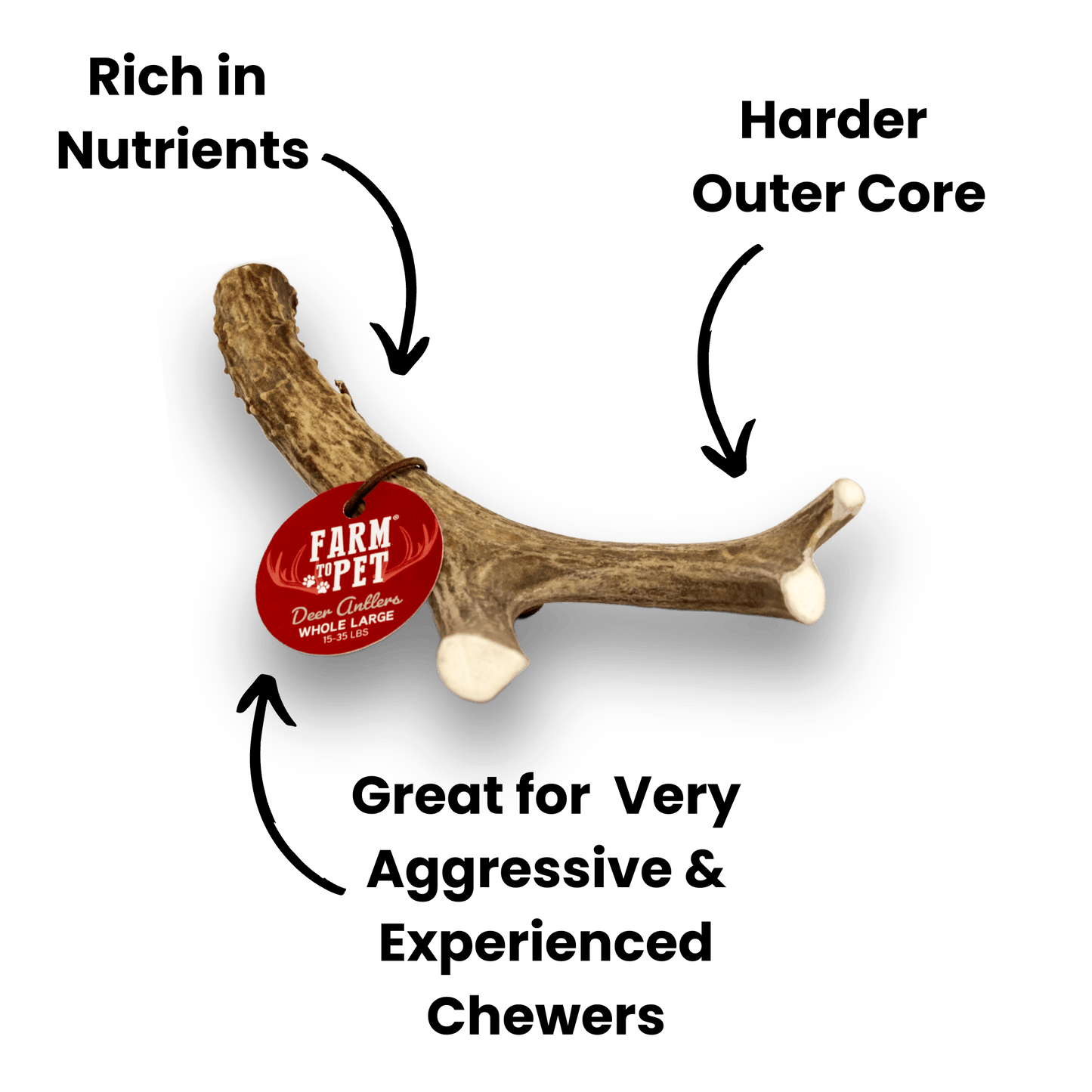 Deer Antlers for Dogs