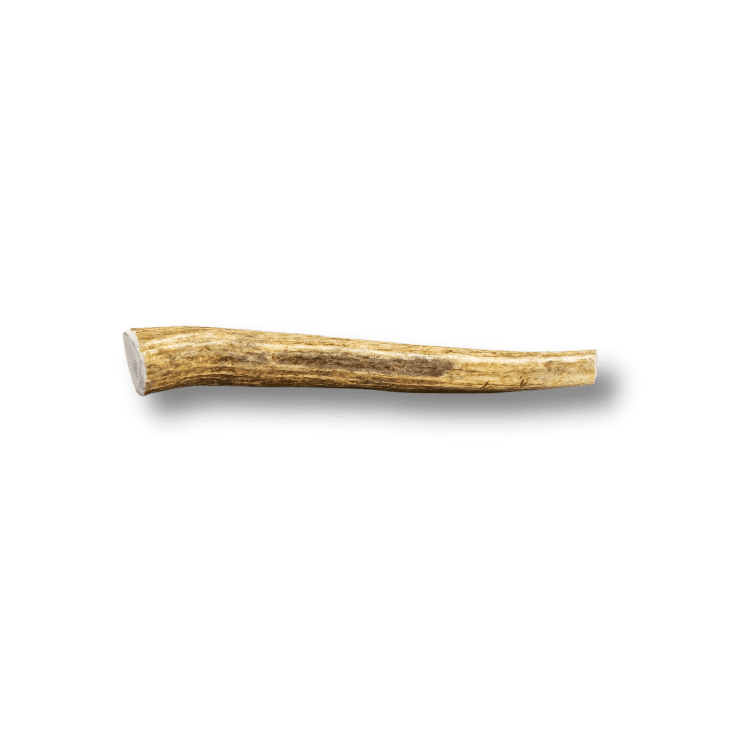 Whole Elk Antlers for Dogs