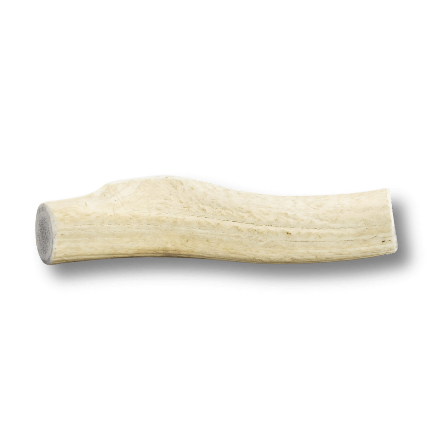 Whole Elk Antlers for Dogs