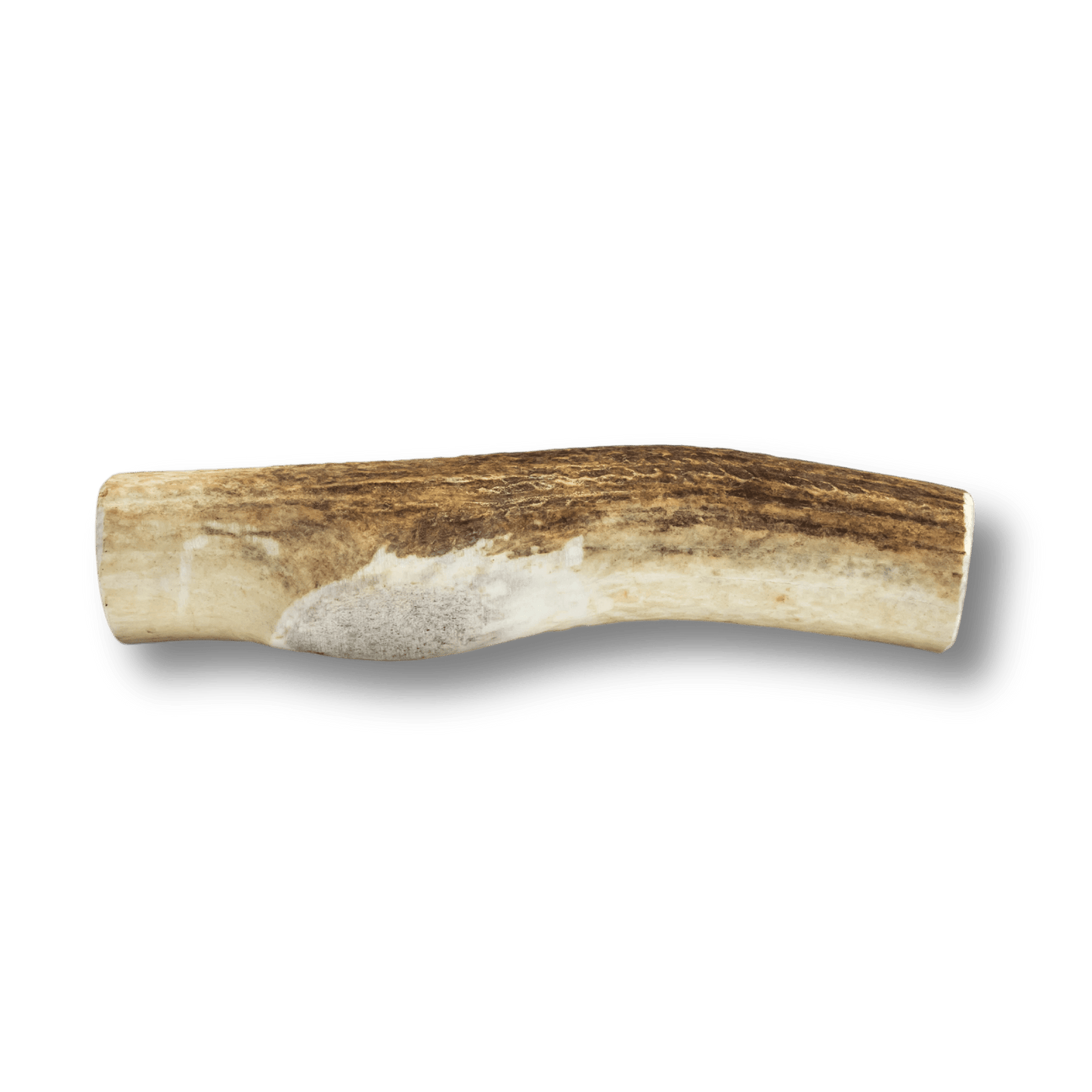 Whole Elk Antlers for Dogs
