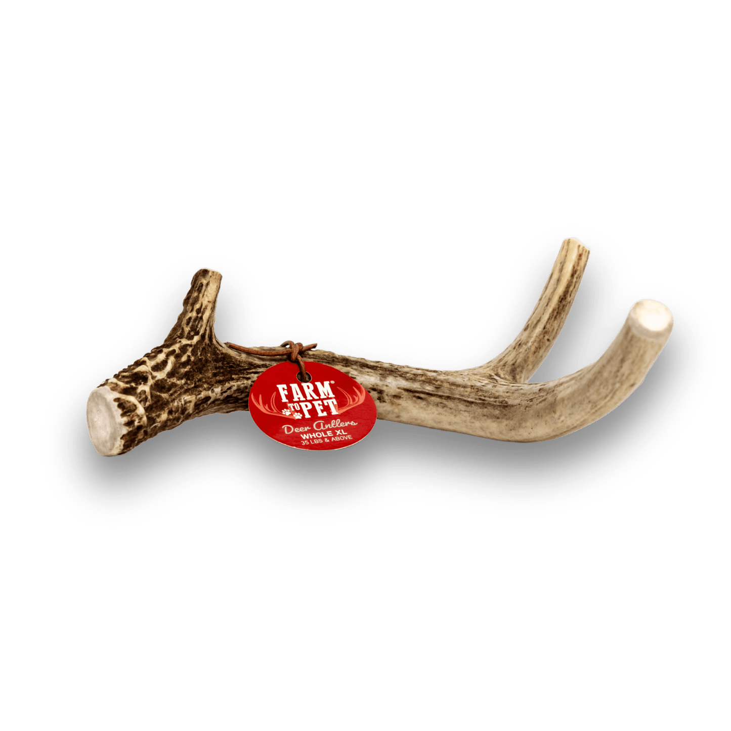 Deer Antlers for Dogs