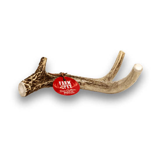 Deer Antlers for Dogs