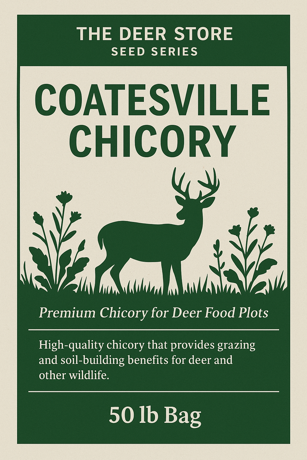 best place to get chicory in indiana