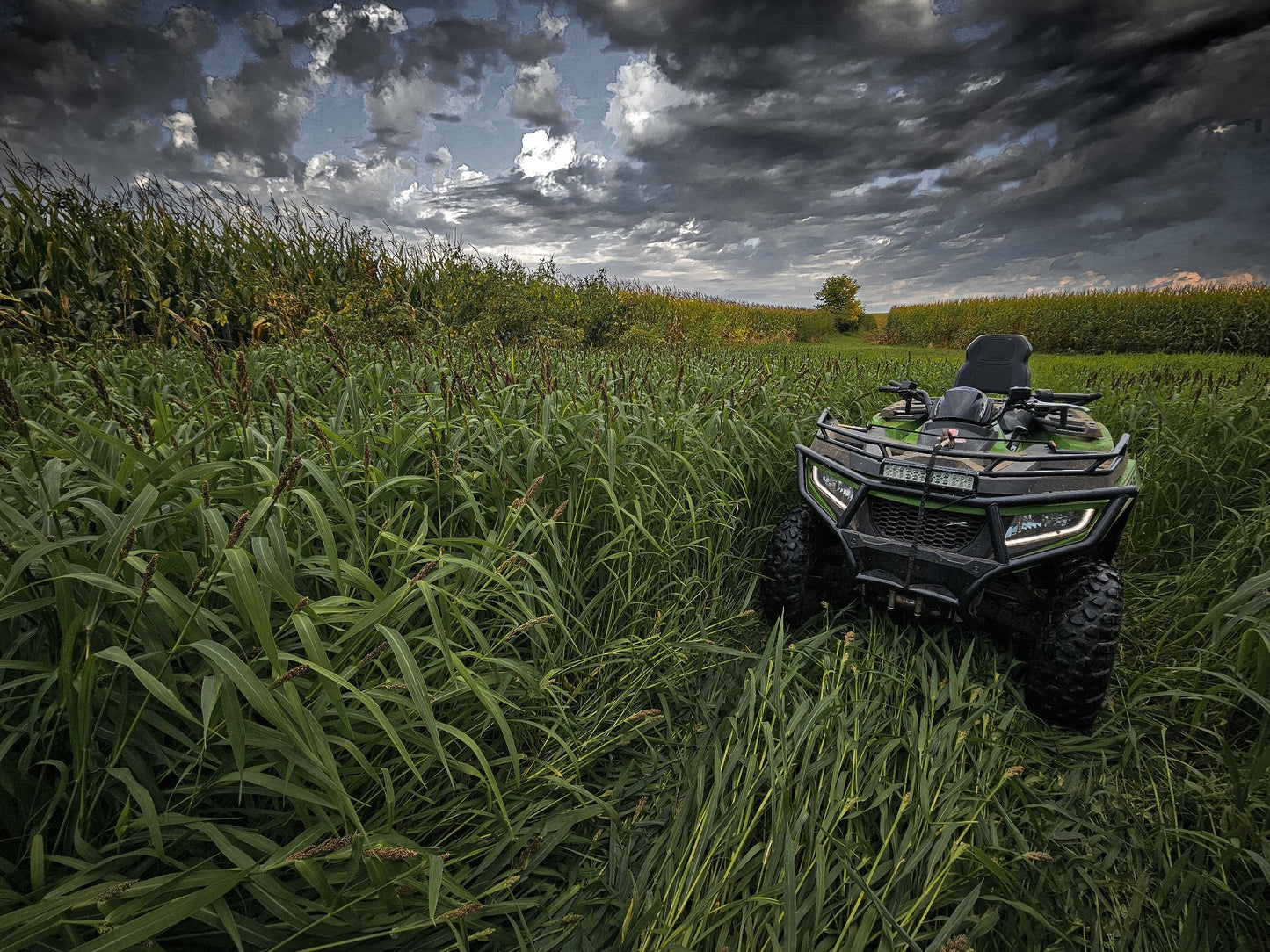 LANDING STRIP - COVER AND FOOD - WATERFOWL FOOD PLOT BLEND