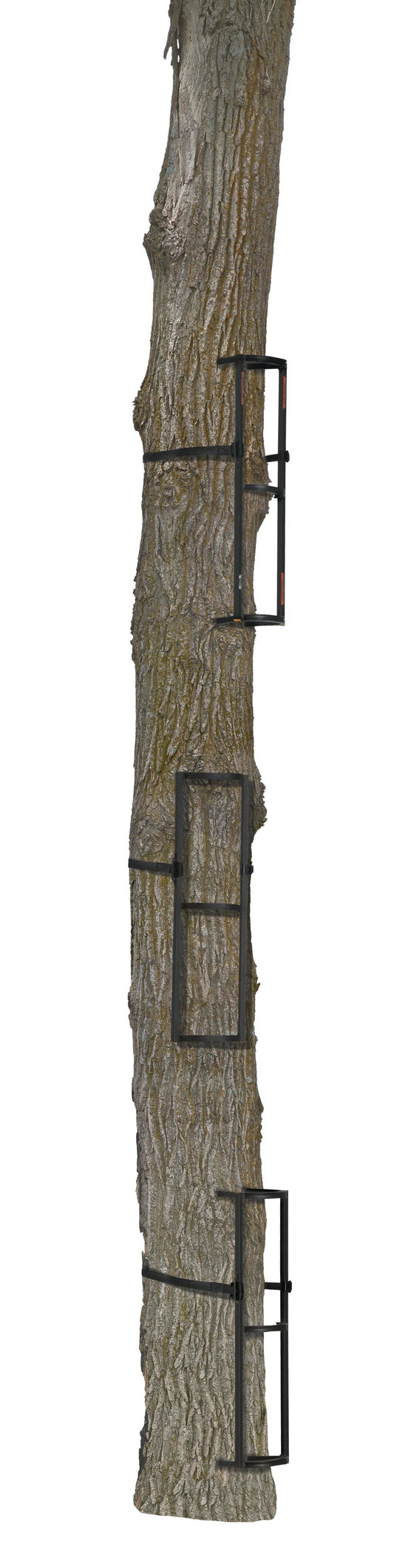 Outdoors Stagger Steps Packable Rock Solid Ladder System, Black