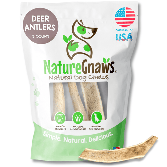 USA Deer Antlers for Dogs 4-7" (3 Count) Rawhide-Free Chew Bones