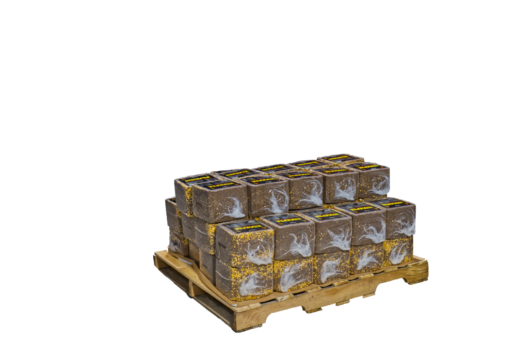 DOMAIN'S STOCKPILE DEER BLOCK - POWERFUL PROTEIN AND ENERGY