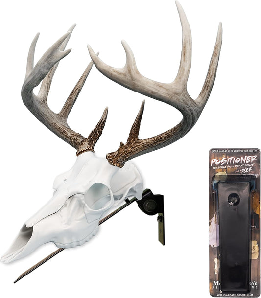 Deer Positioner European Skull Wall Mount, Black