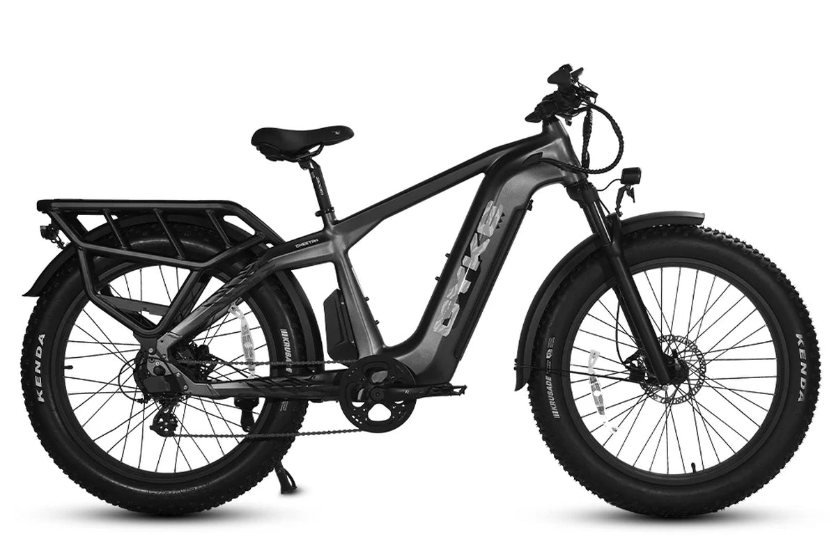 Cheetah Hunting Ebike