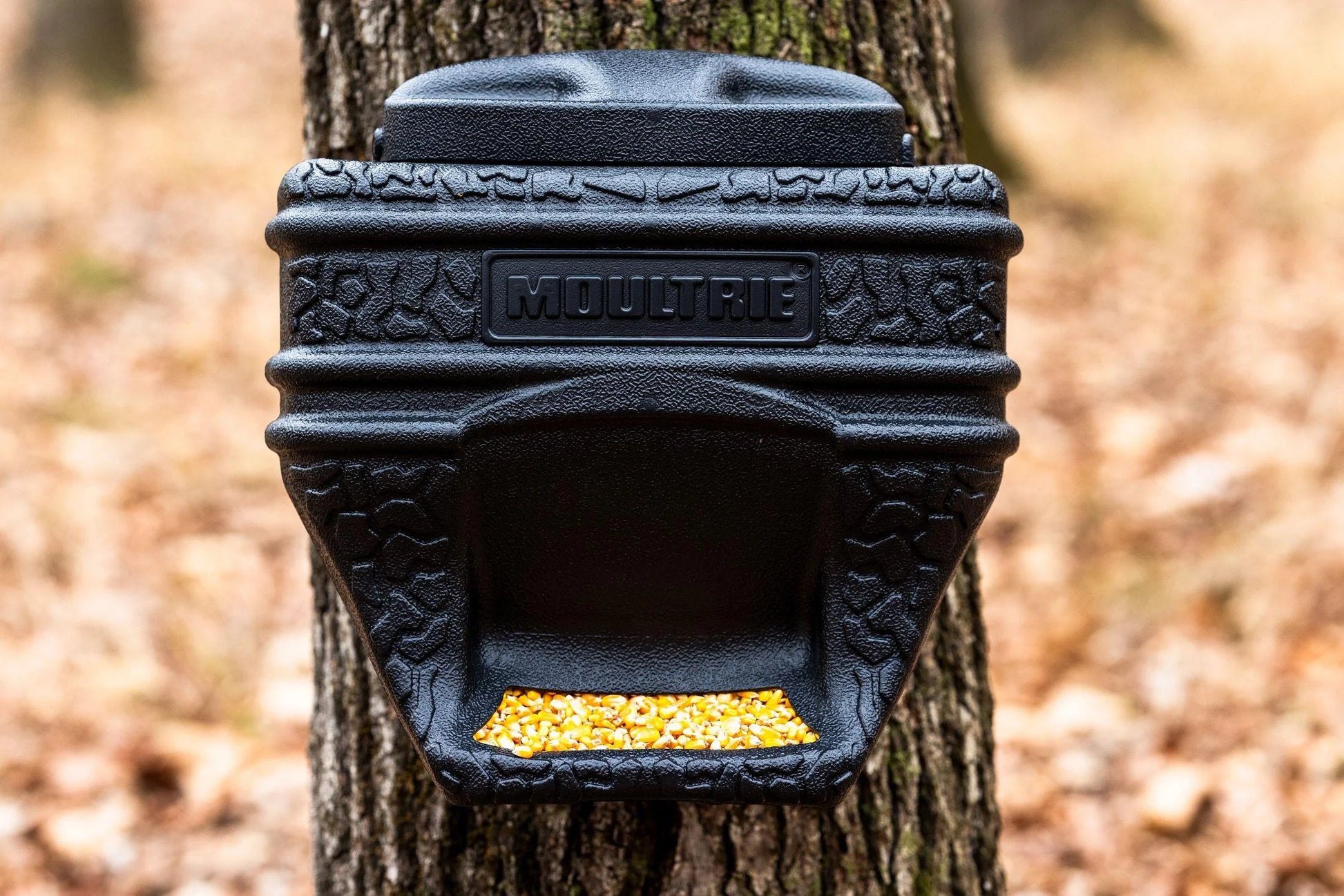 (3 Pack)  40Lb. Feed Bin. - Easy Fill Gravity Feeder - 6 Gallon Capacity